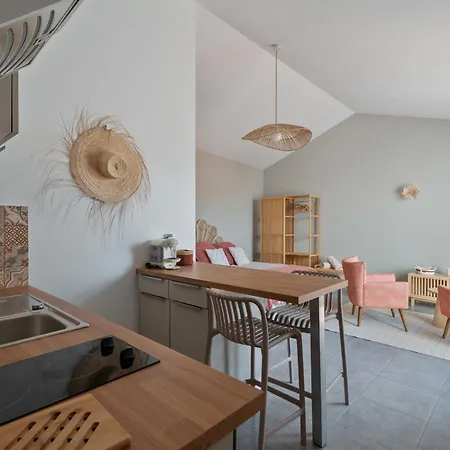 Studio Cocon Enea Bidart, Terrasse Et Parking * Bidart