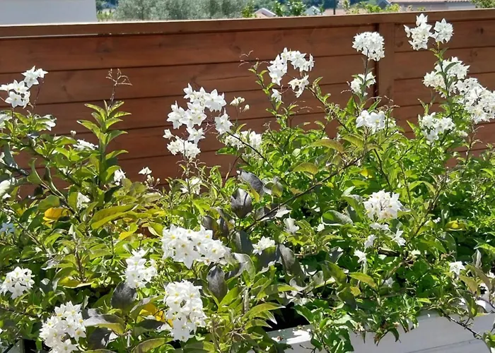 Cocon Enea Bidart, Terrasse Et Parking * بيدار