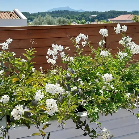 Studio Cocon Enea Bidart, Terrasse Et Parking * Bidart
